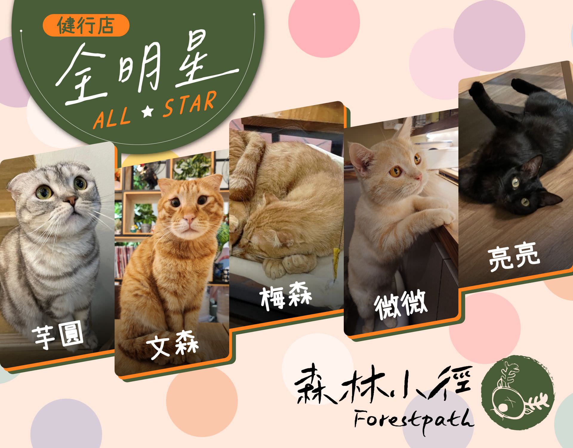 森林小徑餐廳健行店的明星